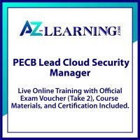Lead Cloud Security Manager