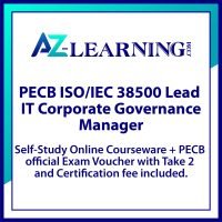 38500 Lead IT Corporate Governance Manager