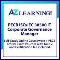 38500 IT Corporate Governance Manager