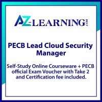 Lead Cloud Security Manager