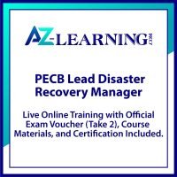 Lead Disaster Recovery Manager