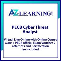 Cyber Threat Analyst